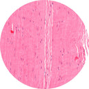 Control Slides, H&E - Human Tendon