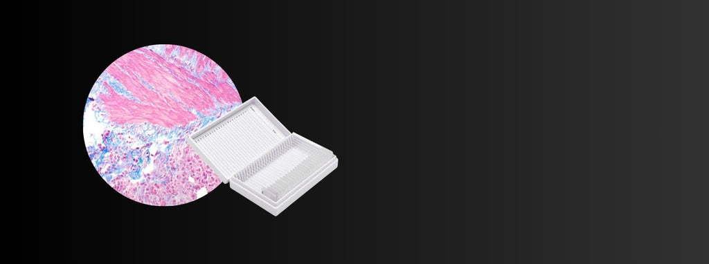 Control Slides for Precise Laboratory Analysis | Rankin Biomedical