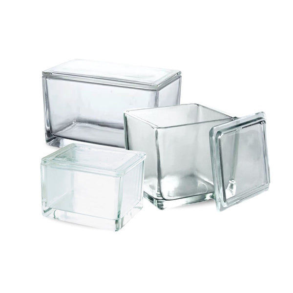 Glass Slide Stain Dishes