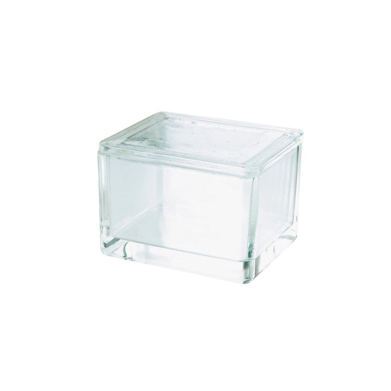 Glass Slide Stain Dishes