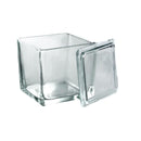 Glass Slide Stain Dishes