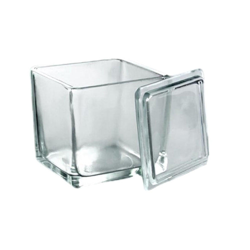 Glass Slide Stain Dishes