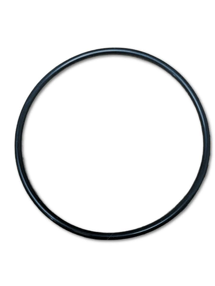 Waste Bottle O-ring - Cytyc ThinPrep 2000 (50038-006)