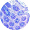 Control Slides, Special Stain - acid mucins; Alcian blue/PAS