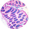 Control Slides, Special Stain - Alcian blue