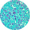 Control Slides, Special Stain - acid mucins; Alcian blue/PAS