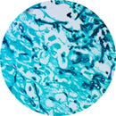 Control Slides, Special Stain - Candida sp.; GMS