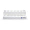 Trays for Tissue Marking Dyes