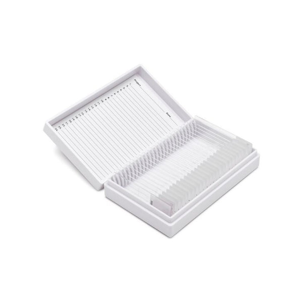 Control Slides, Special Stain - Warthin-Starry Stain