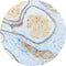 Control Slides, IHC - HER2