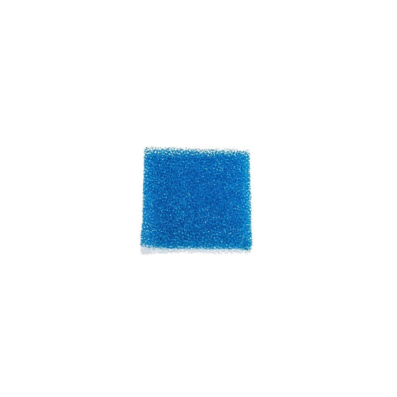 Blue Biopsy Foam Pads (Pack of 1,000)