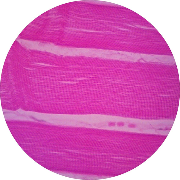 Control Slides, H&E - Human Muscle (skeletal)