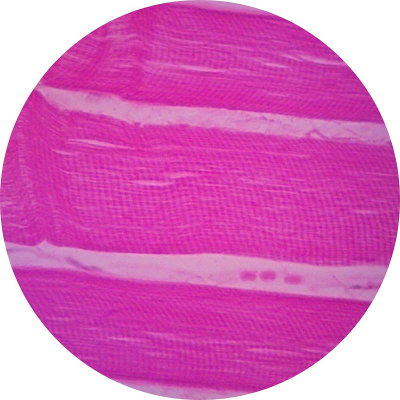 Control Slides, H&E - Human Muscle (skeletal)