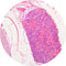 Control Slides, H&E - Human Spinal ganglion
