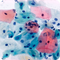 EA-36 Papanicolaou Stain