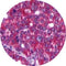 Control Slides, IHC - Adrenergic Receptor beta 2