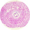 Control Slides, H&E - Human Vas Deferens