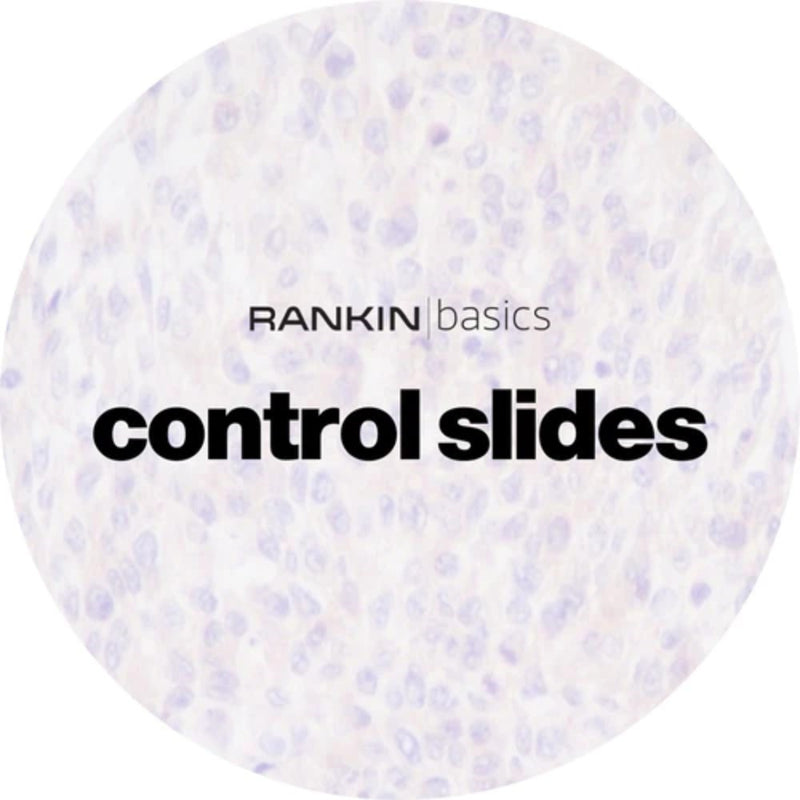 Control Slides, IHC - CD 184