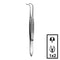 Teeth Tissue Forceps
