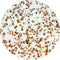 Control Slides, IHC - Beta Amyloid