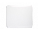 Rankin StainTray Manual IHC Staining Set consumables with 10 slides and clear lid for histology laboratory use.