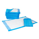 Pack of 100 Rankin disposable underpads, 17 x 24 inches, absorbent consumables for medical or caregiving use.
