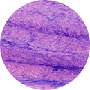 Rankin control slides with H&E staining showing human fibrocartilage tissue for histology and lab analysis.