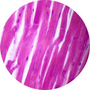 Rankin H&E control slides featuring unstained and stained human heart tissue for histology and laboratory analysis.