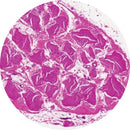 Rankin H&E human nerve control slides for histology, showing unstained and stained nerve tissue samples.
