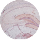 Rankin IHC control slides with unstained and stained sections, used for immunohistochemistry testing and calibration.