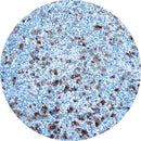 Rankin IHC Control Slides for BerH2, stained and unstained, used as consumables for immunohistochemistry testing.