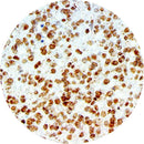 Rankin IHC control slides for Beta Amyloid, showing unstained and stained samples used in immunohistochemistry testing.