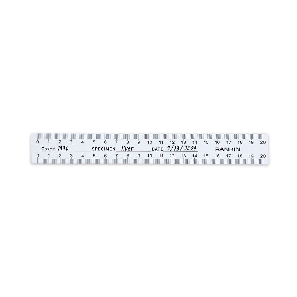 Disposable Paper Rulers, 20cm (Pack of 50) | Rankin Biomedical
