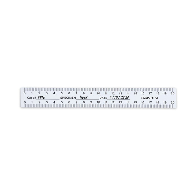 Disposable Paper Rulers, 20cm (Pack of 50) | Rankin Biomedical