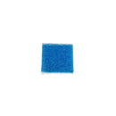 Blue biopsy foam pads from Rankin, 1,000-pack of consumables for medical or laboratory use, shown in a close-up image.