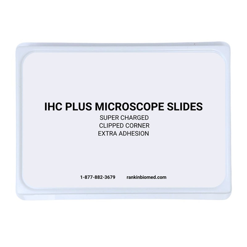 Charged IHC PLUS Microscope Slides (BX/100) | Rankin Biomedical