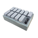 Rankin 12-place plastic manual staining station for laboratory equipment with 12 slots for staining trays.