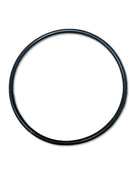 Rankin Waste Bottle O-ring for Cytyc ThinPrep 2000, repair part for laboratory waste bottles, model 50038-006.